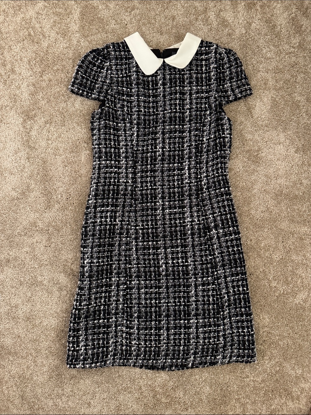julia jordan Black & White Tweed Dress with White Peter Pan Collar